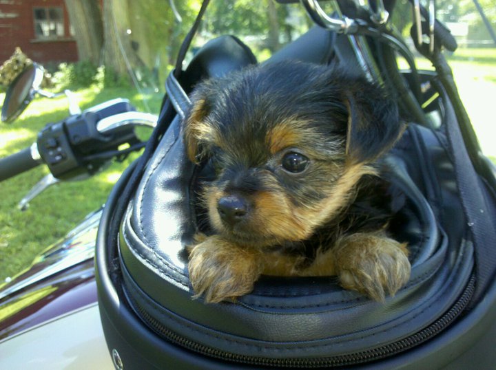 July 4, 2011